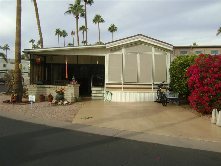 DSC08080 Medium 768x576