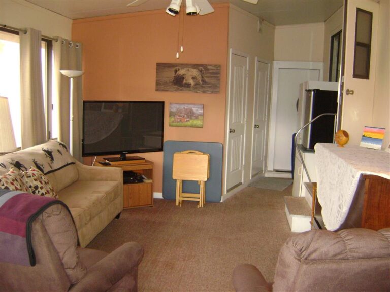 DSC08105 Medium 768x576