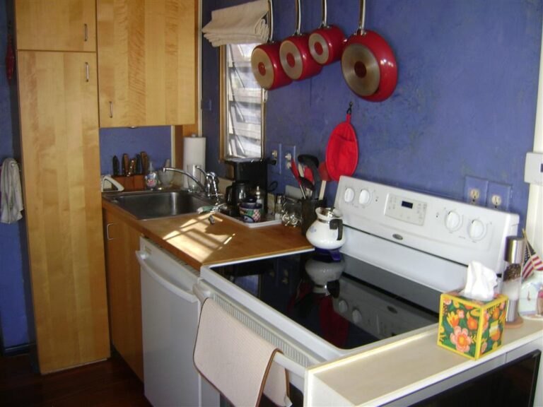 DSC08486 Medium 768x576