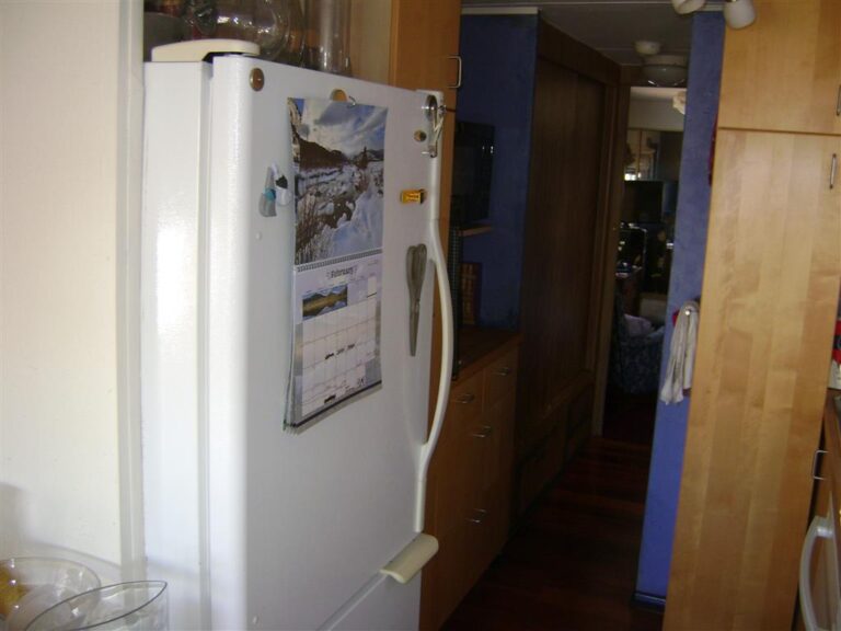 DSC08487 Medium 768x576