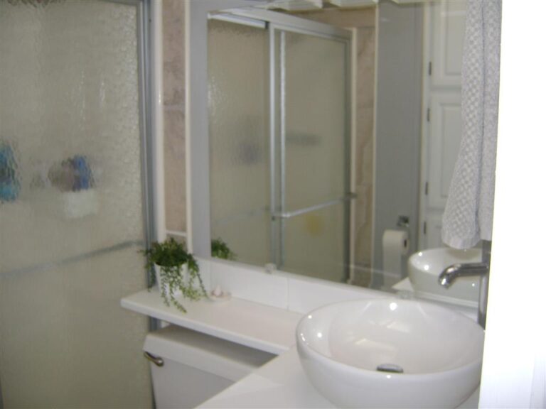 DSC08704 Medium 768x576