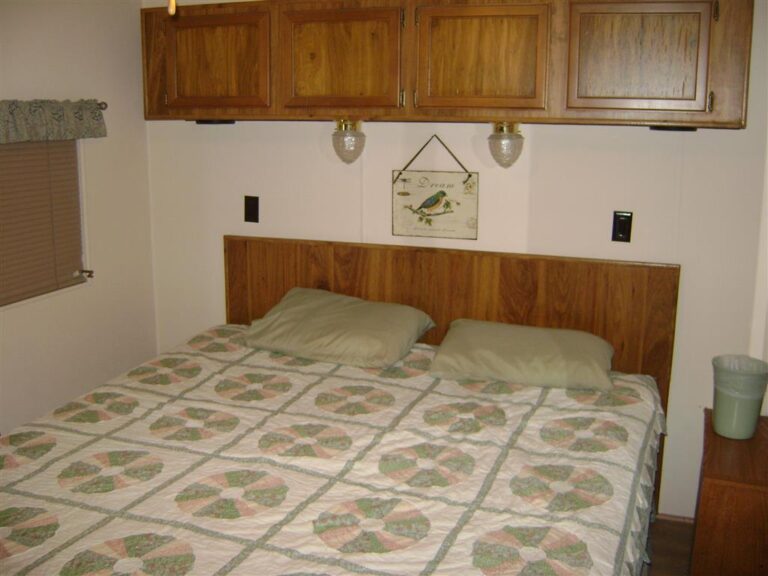 DSC09167 Medium 768x576