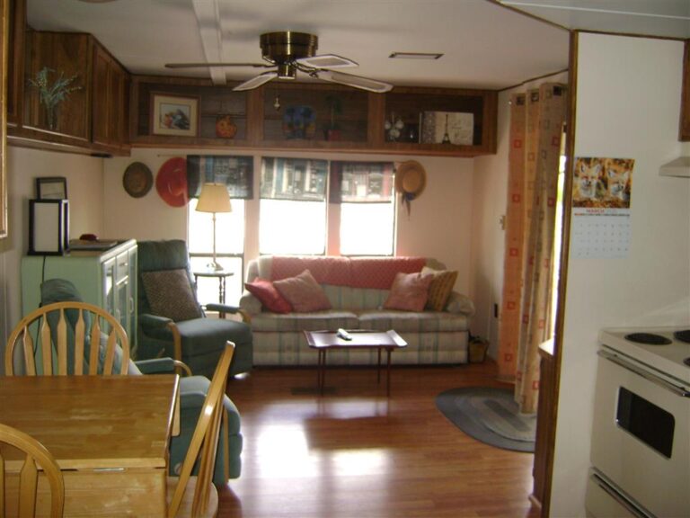 DSC09171 Medium 768x576