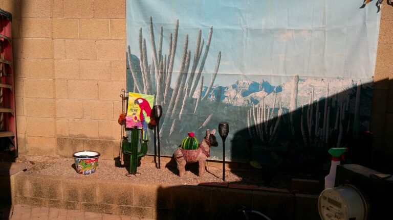 DSCF0014 Small 768x431