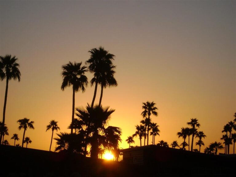 DSC08770 Medium 768x576