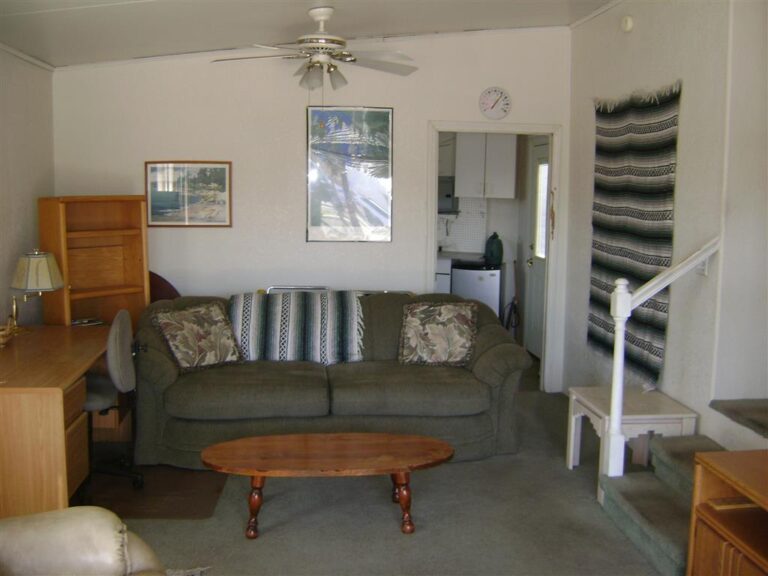 DSC08785 Medium 768x576