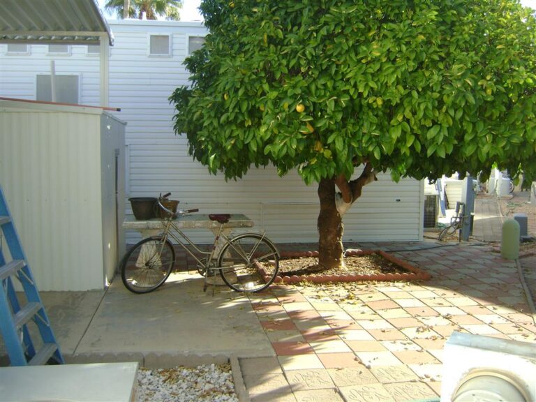 DSC06404 Medium 768x576