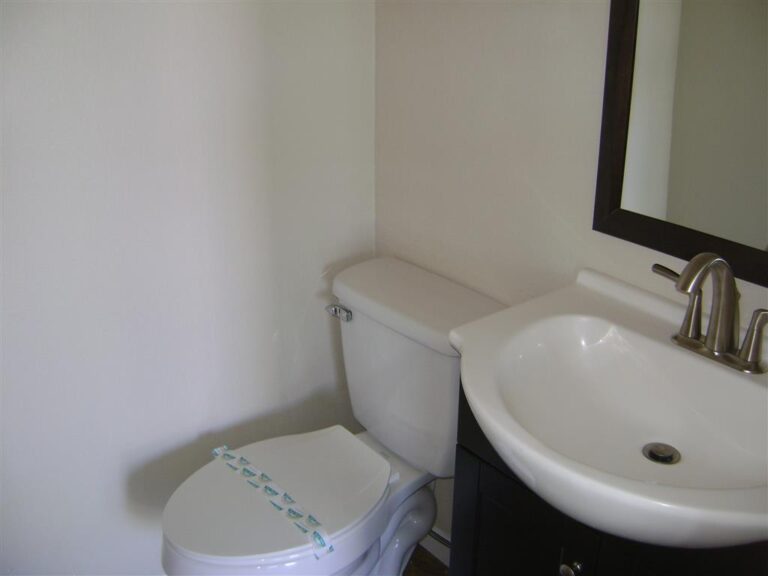 DSC07613 Medium 768x576