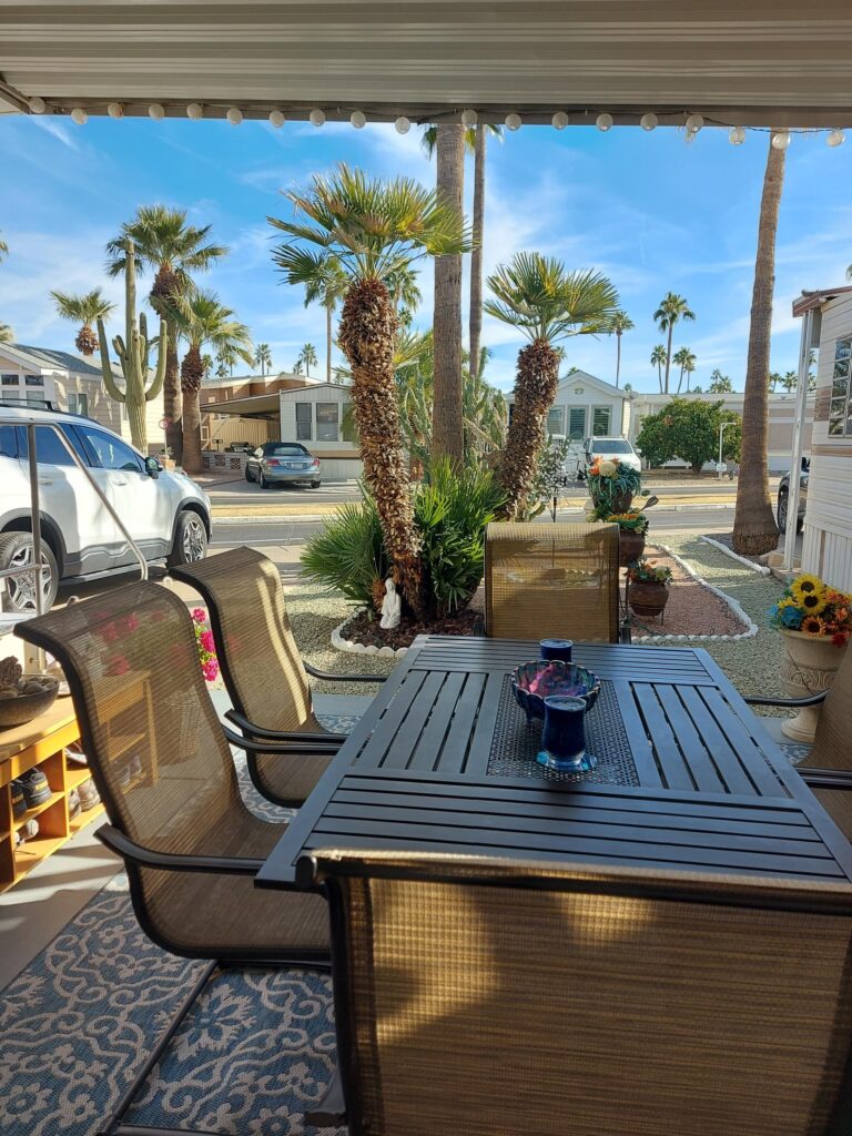 IMG 20250206 103516 768x1024