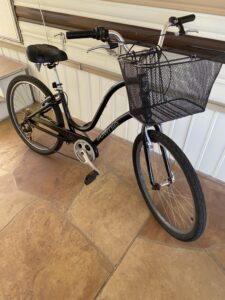 IMG 3634 compressed 225x300