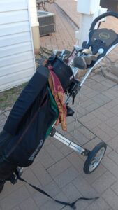 1000014086 1 169x300