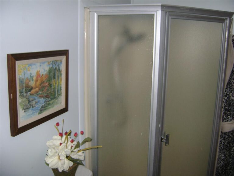 DSC07849 Medium 768x576