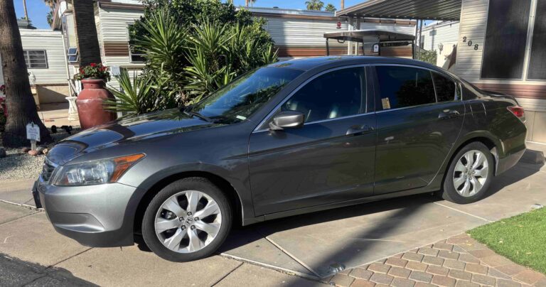 optimized img 9973 768x404