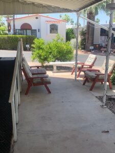 IMG 5138 225x300