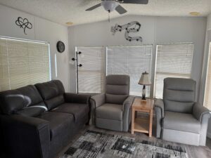 Living Room 1 300x225