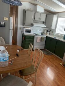 IMG 6195 225x300