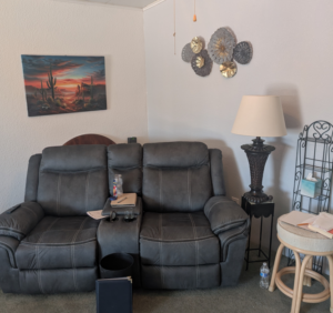 arizona room 1 300x282
