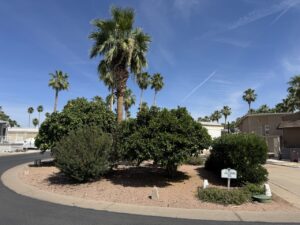 IMG 7900 Large 300x225