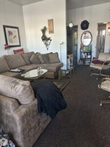 TV Area with sleeper sofa 225x300