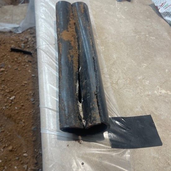 Newsletter_02-16-2026_photo _3